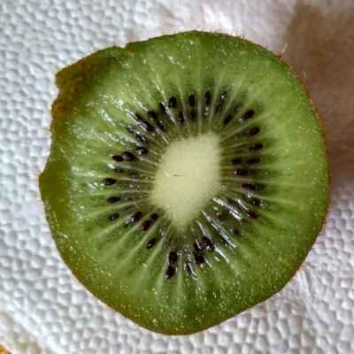 V současné době kvůli zmatkům, zda se při vyslovení „kiwi“ jedná o ovoce nebo o ptáka, prodává Nový Zéland kiwi pod značkou Zespri, což je také ochranná známka. Pohyb značkování také poslouží k tomu, že se rozlišuje kiwi z Nového Zélandu od ovoce plozeného jinými zeměmi, které mnohdy profitují ze jména „Kiwi“.