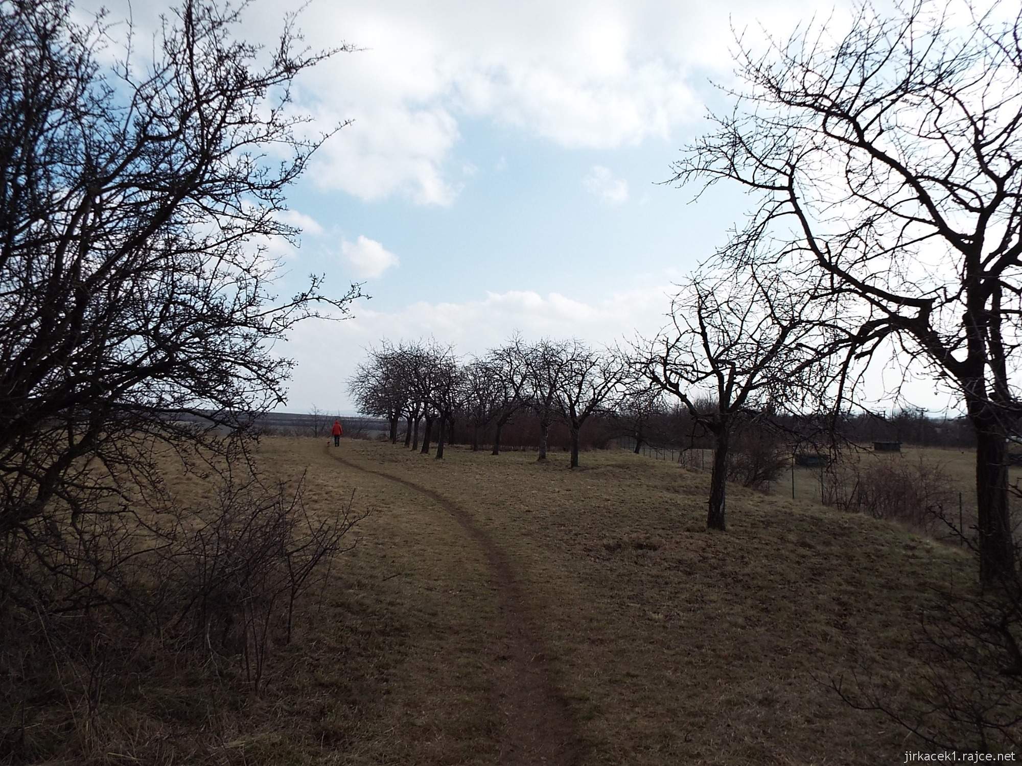 B - Brno - Stránská skála 28 - cesta z vrcholu na Zadní Prátle - alej u vodárny