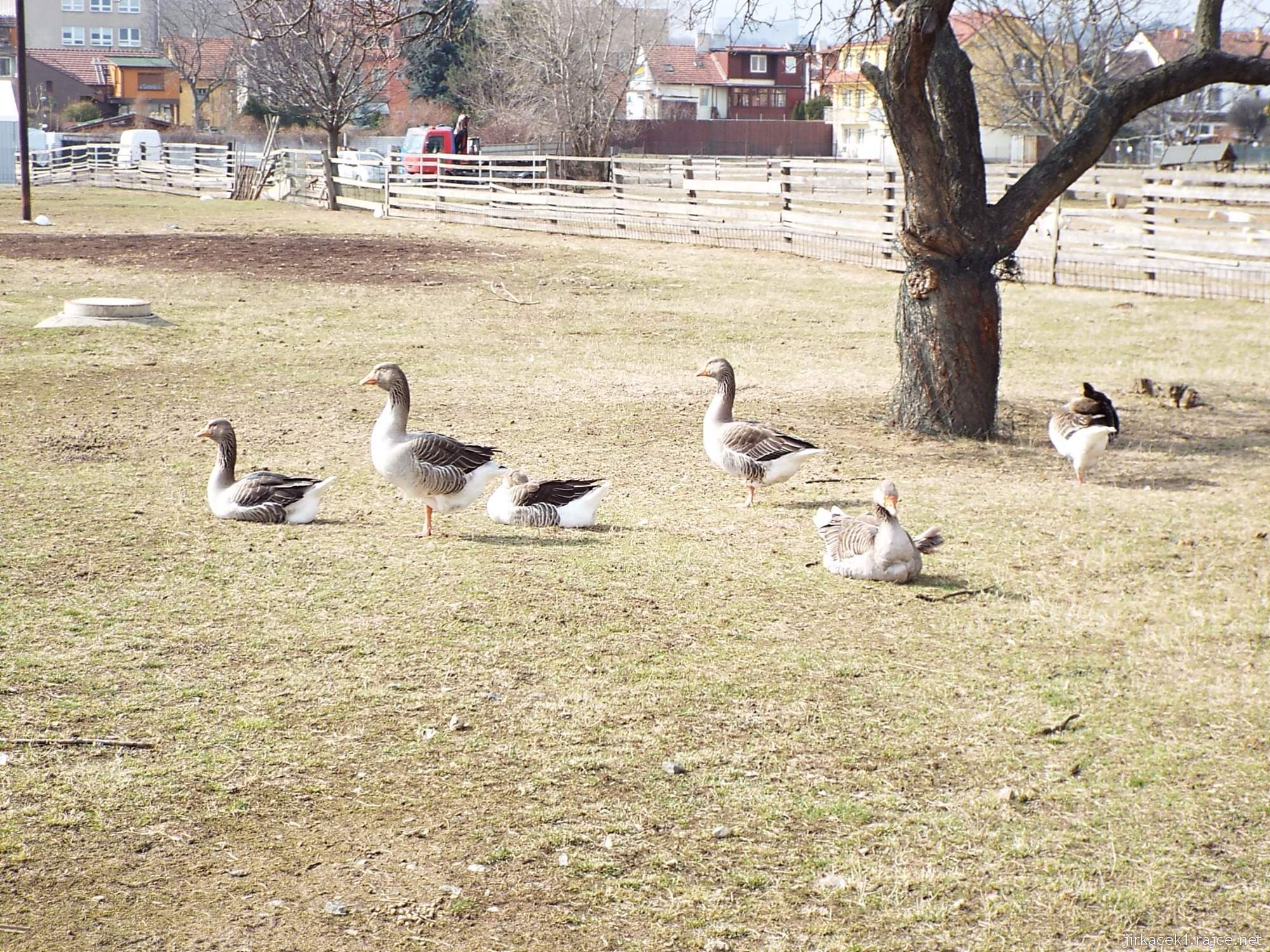 E - Brno Horní Heršpice - Jižanský dvorek 01