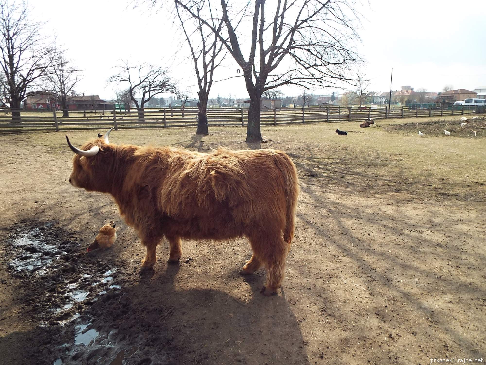E - Brno Horní Heršpice - Jižanský dvorek 01