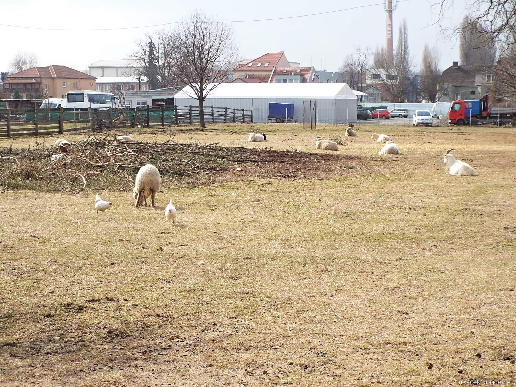 E - Brno Horní Heršpice - Jižanský dvorek 01