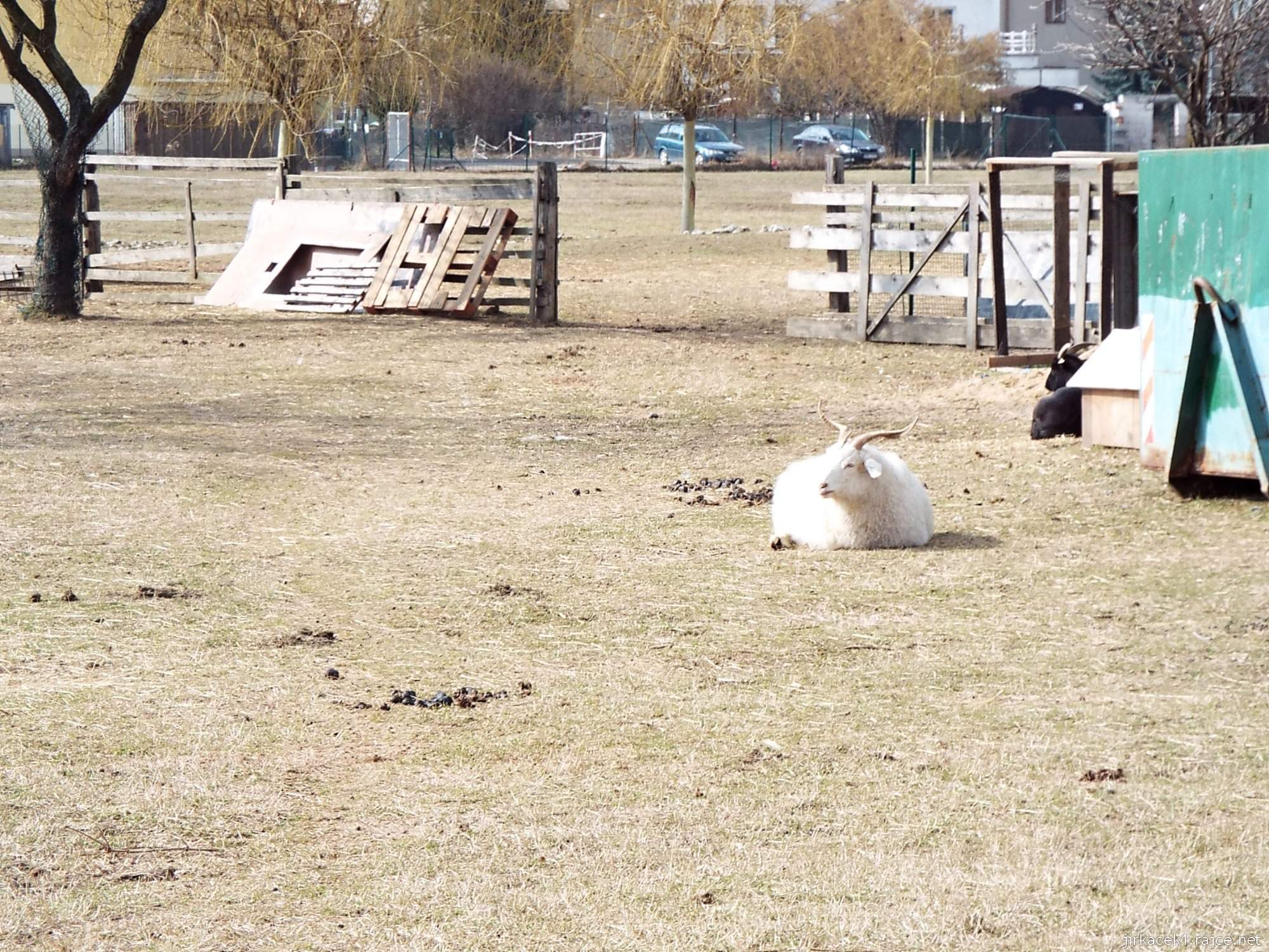 E - Brno Horní Heršpice - Jižanský dvorek 01