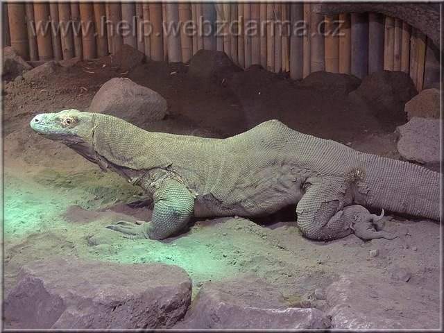 varan