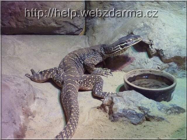 varan H