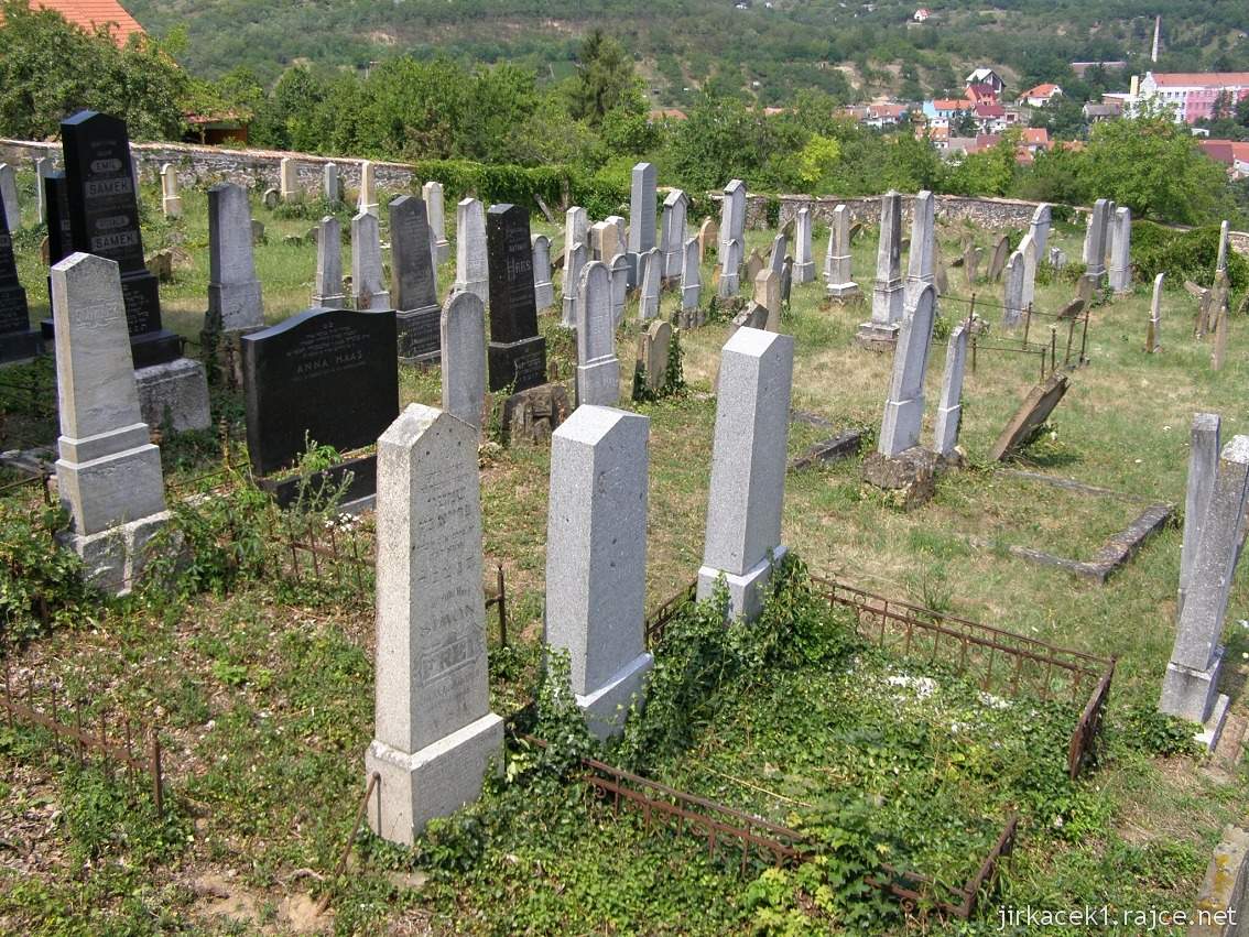 Dolní Kounice - židovský hřbitov 01 - náhrobky