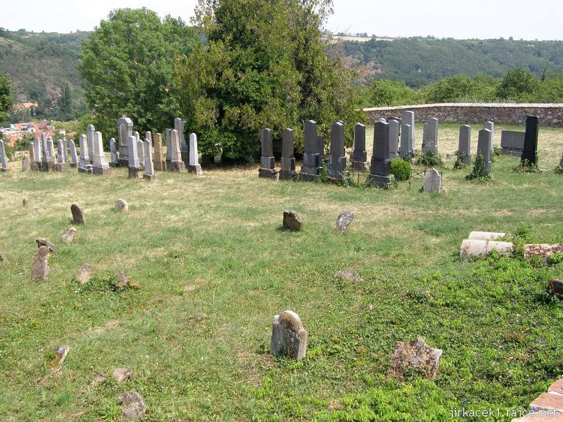 Dolní Kounice - židovský hřbitov 03 - celkový pohled