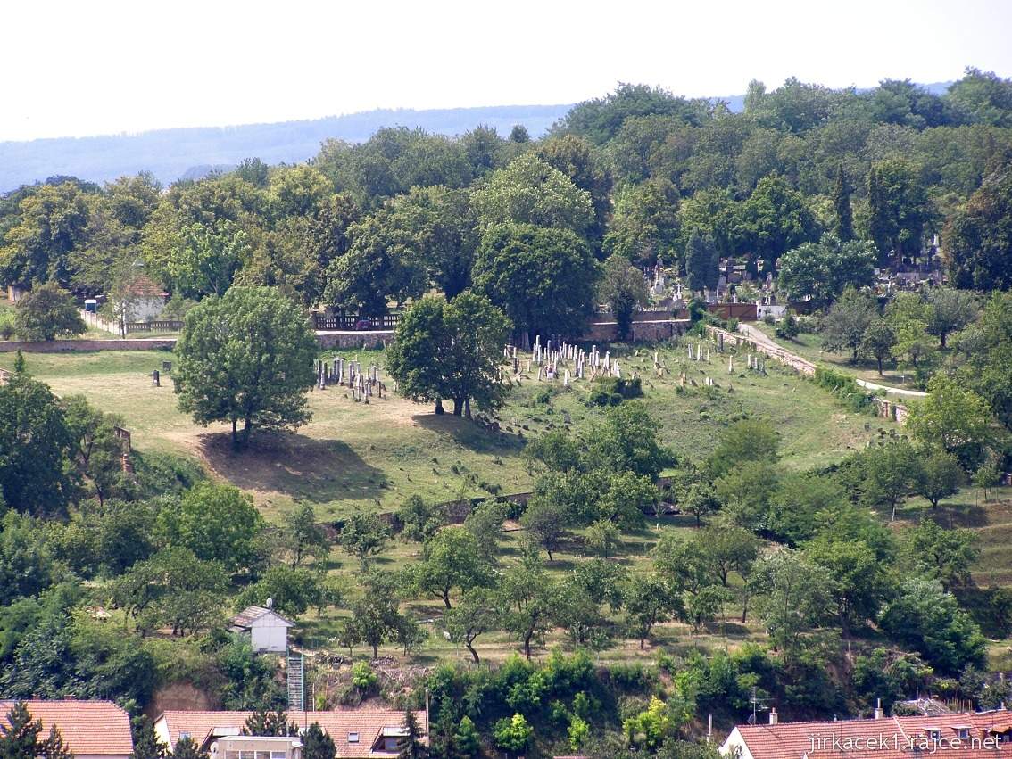 Dolní Kounice - židovský hřbitov 04 - pohled z dálky