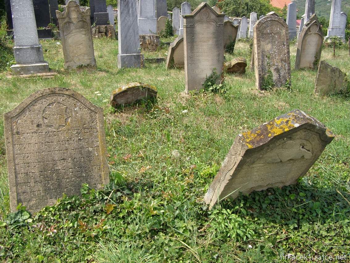 Dolní Kounice - židovský hřbitov 07 - staré náhrobky