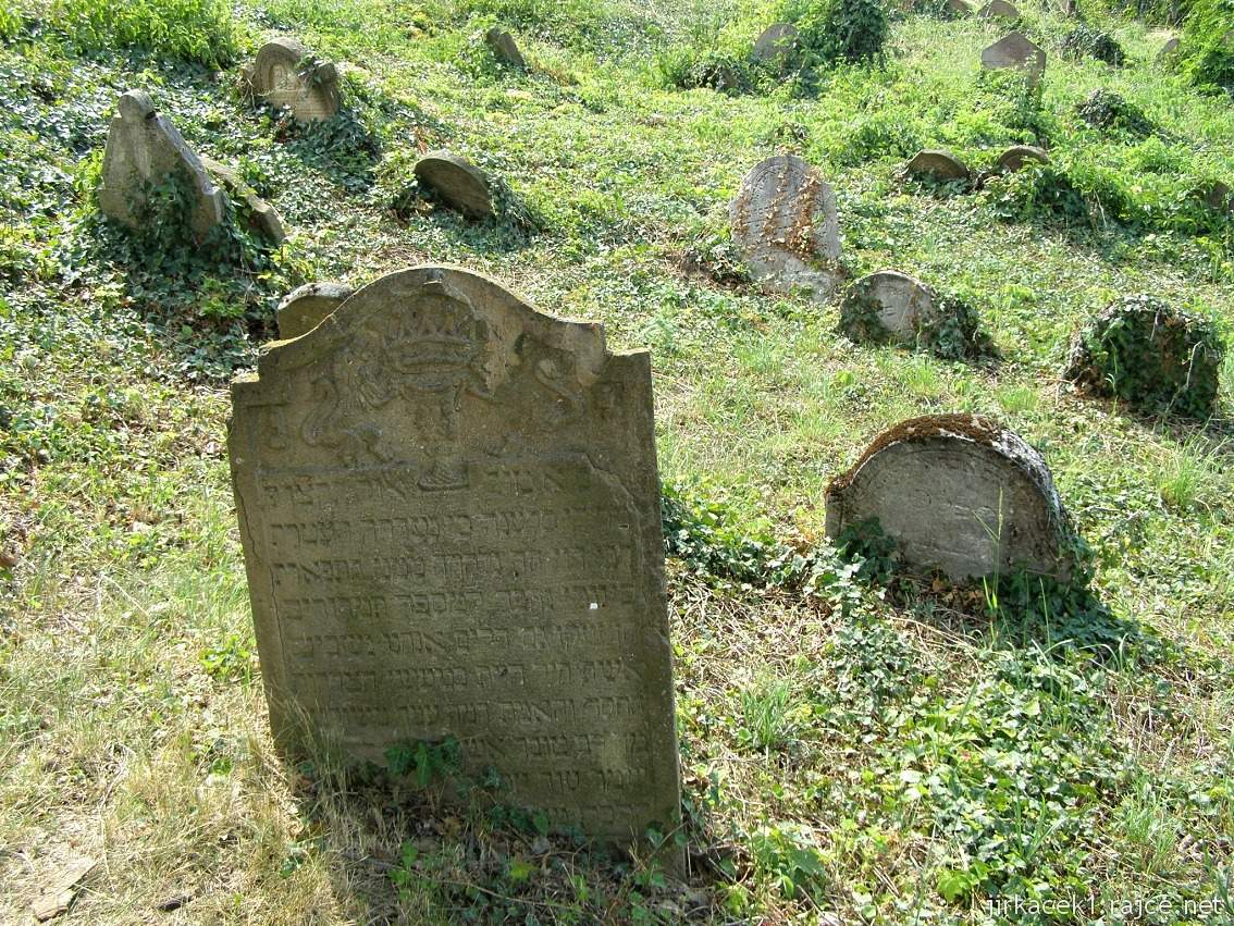 Dolní Kounice - židovský hřbitov 24 - staré náhrobky