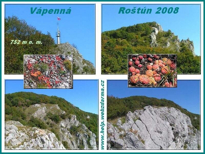 Rostun