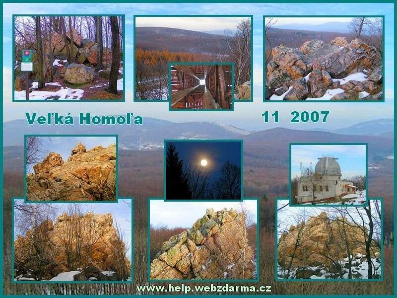 V Homola 2007