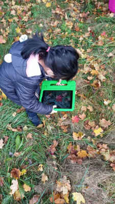 Lužná Sovičky - Fotografovali jsme barvy podzimu pomocí tabletů (je to spojení moderní techniky a pobytu v přírodě.) Děti dostaly zadání: "Najdi barvu (červenou, zelenou, oranžovou, hnědou, žlutou - barvy podzimu) a vyfoť tabletem. Děti to neskutečně bavilo, nikde nepobíhaly, ale hledali pod jedním stromem javorem a všechny barvy našly na jednom stromu.