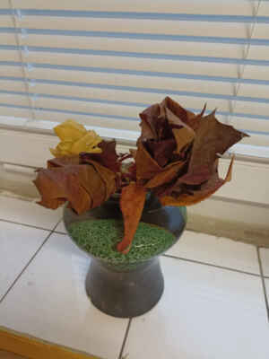 Lužná Sovičky - Tvořili jsme z barevných podzimních listů růžičky.