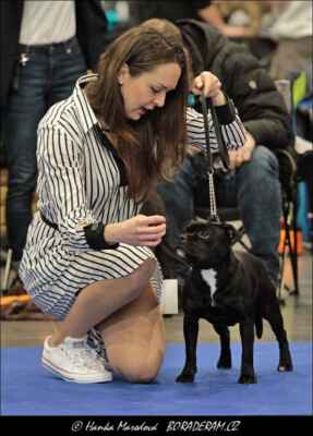 Follow Love Incredible Feeling (Bruno Luckystar R.A.C.-Popelka X Elizabet Taylor of Eilatan) - Feny - třída dorostu - VN2