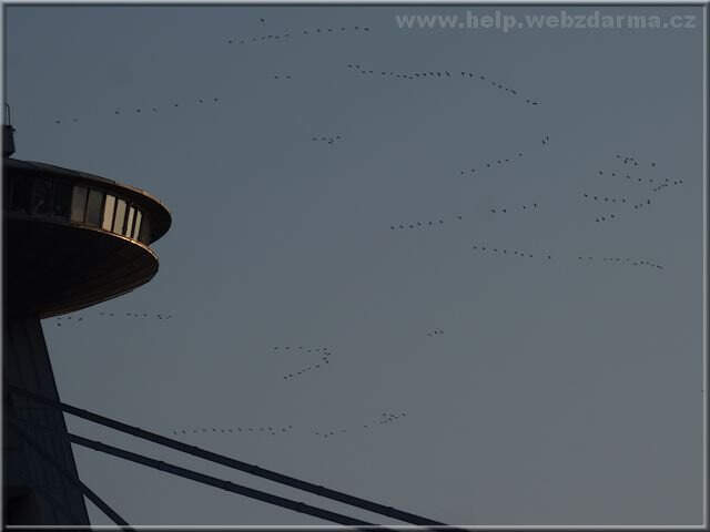husi ufo