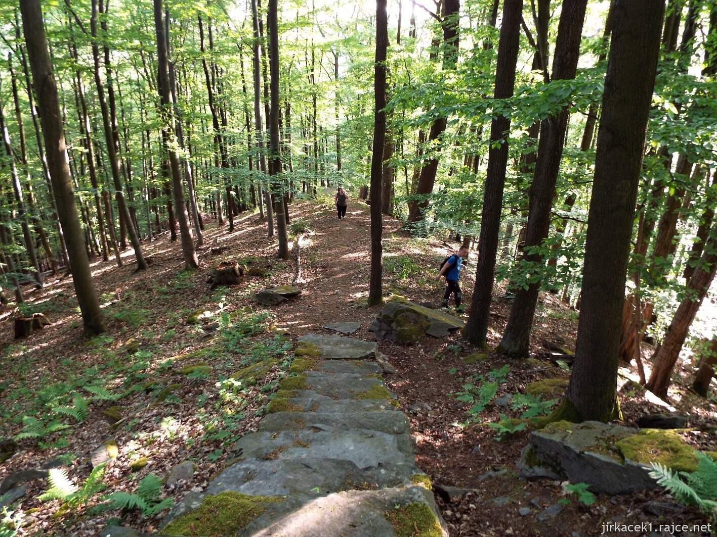 B - Dolní Žleb - Kamenné schody 04