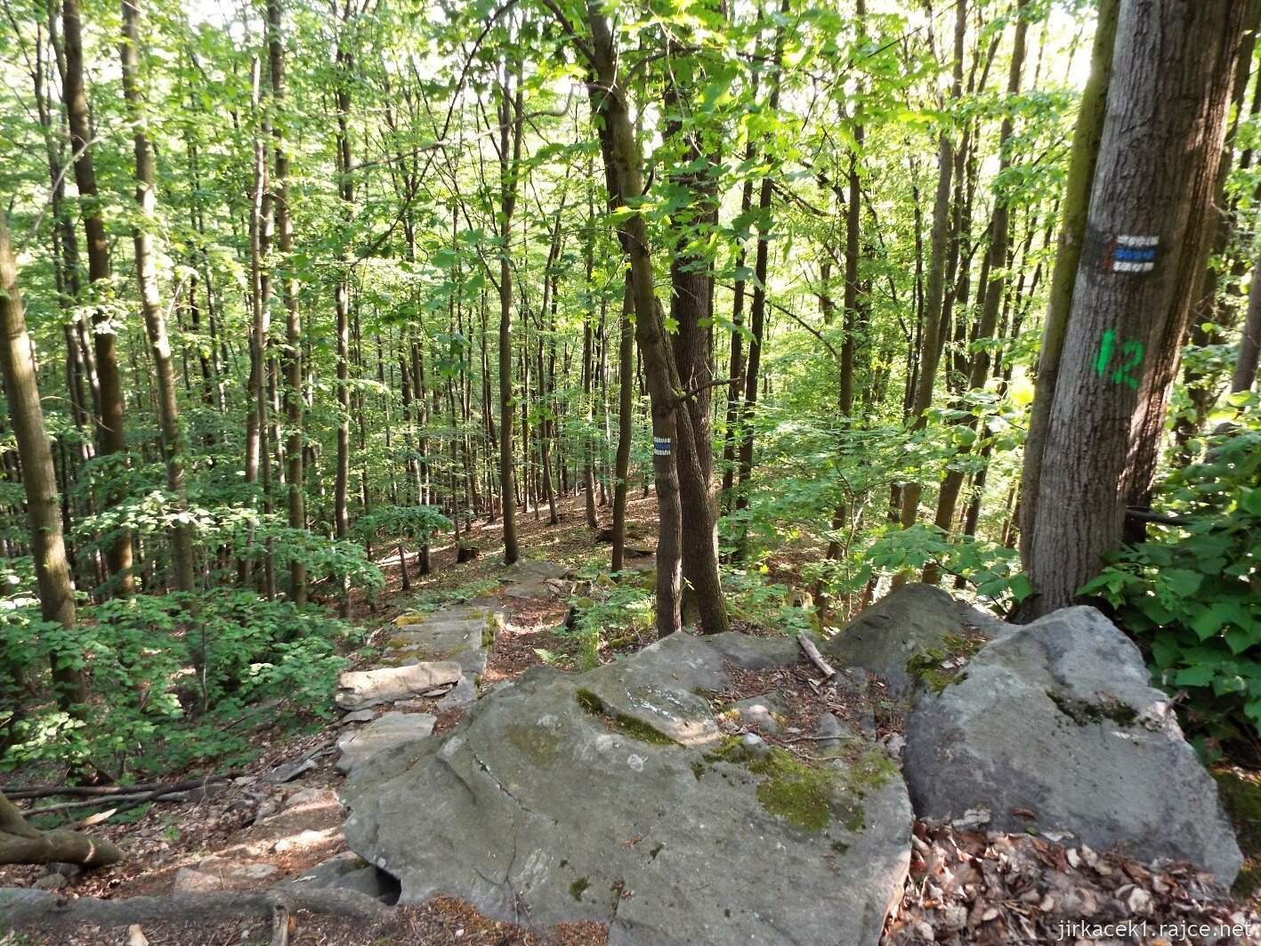 B - Dolní Žleb - Kamenné schody 08