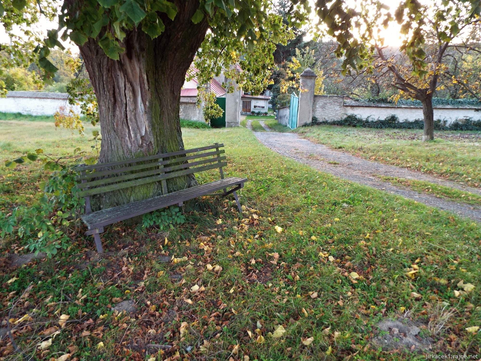 Cholina - Cholinský dvorek 10 - lavička pod lípou