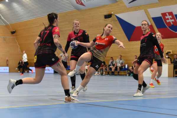 Eidelpes Ludek