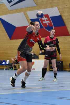 Eidelpes Ludek