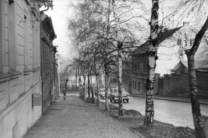 Obrázek