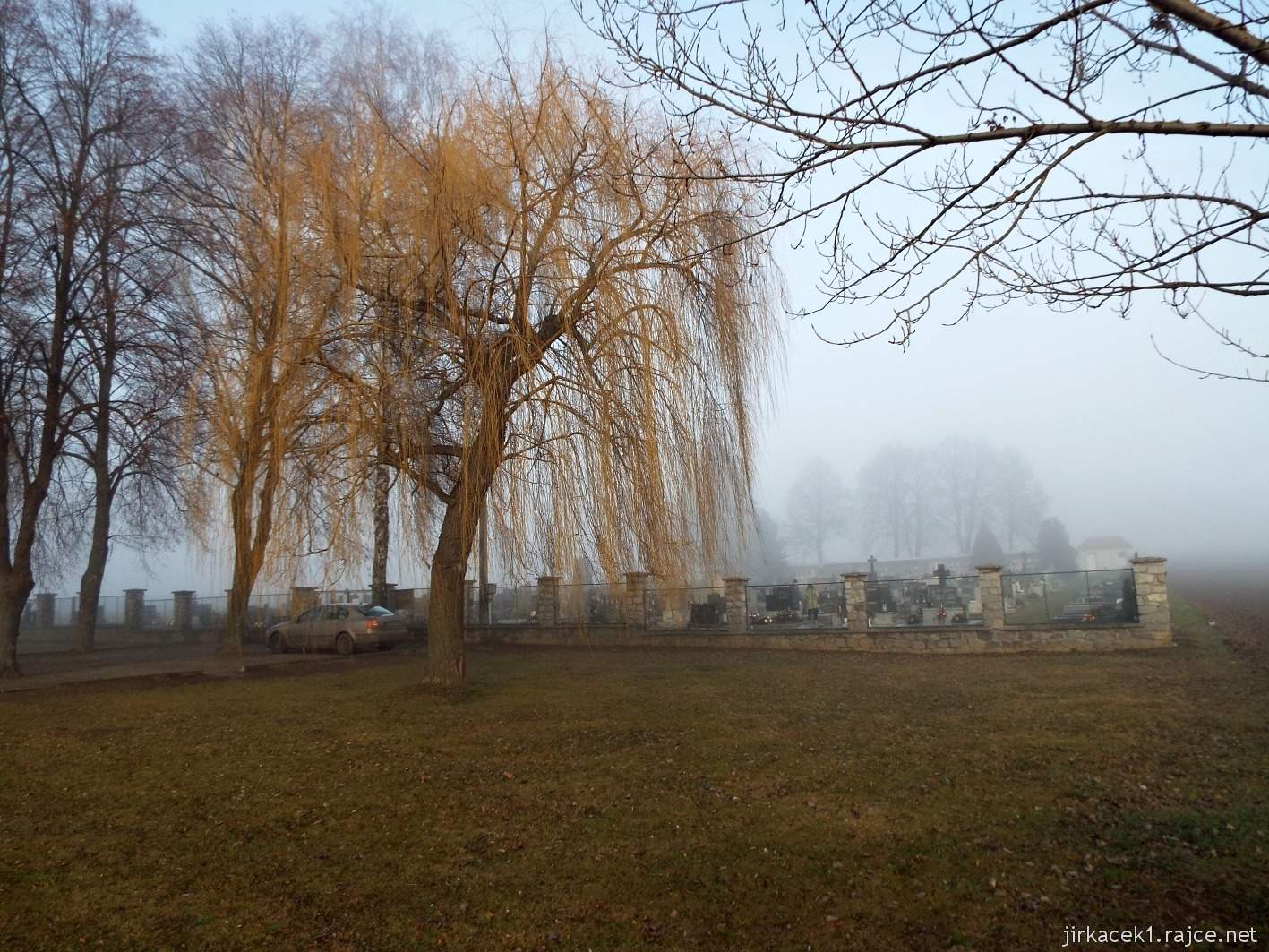 092 - vrba u hřbitova mez Krumsínem a Soběsuky