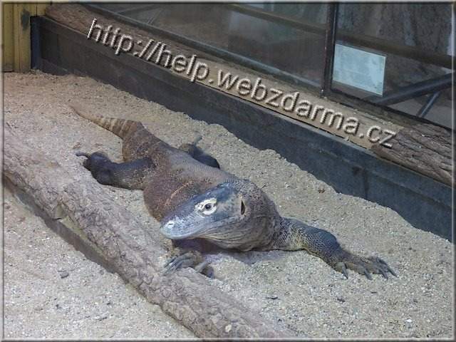 jaster2