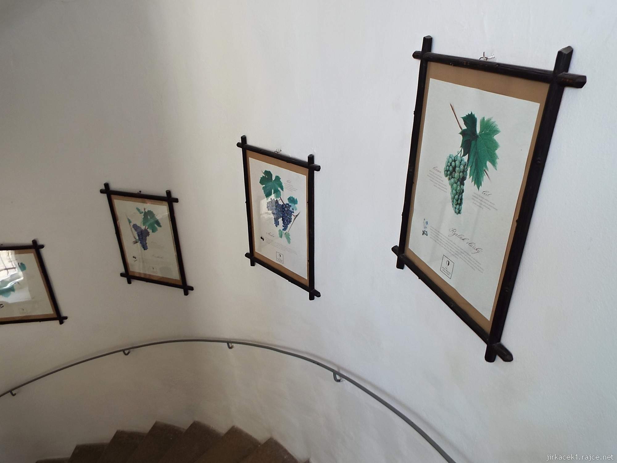 Valtice - zemědělské muzeum 03 - schodiště do patra s ukázkami vína