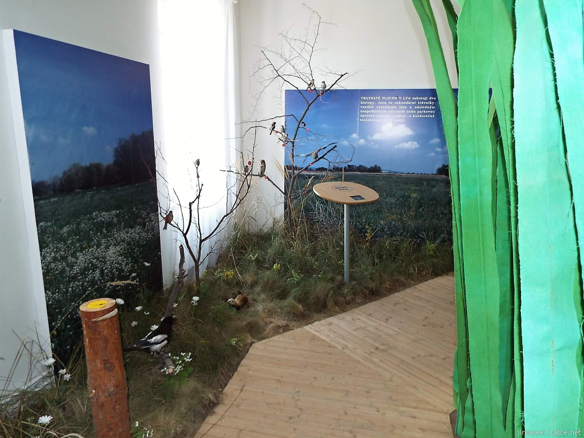 Valtice - zemědělské muzeum 09 - expozice přírody