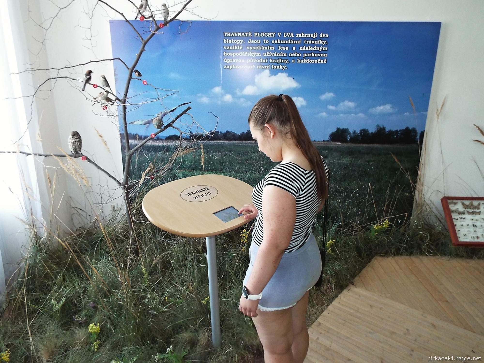 Valtice - zemědělské muzeum 10 - expozice přírody