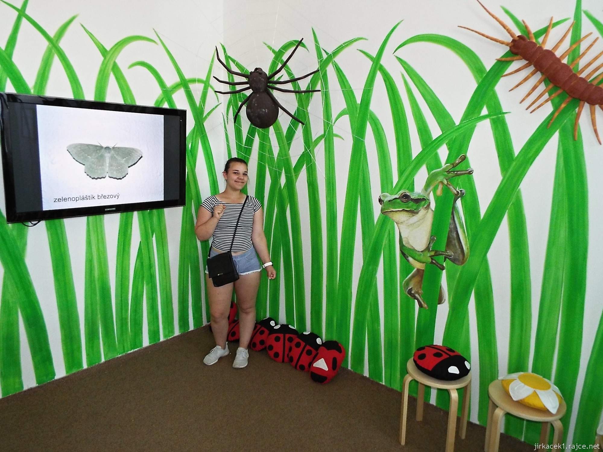 Valtice - zemědělské muzeum 12 - expozice přírody