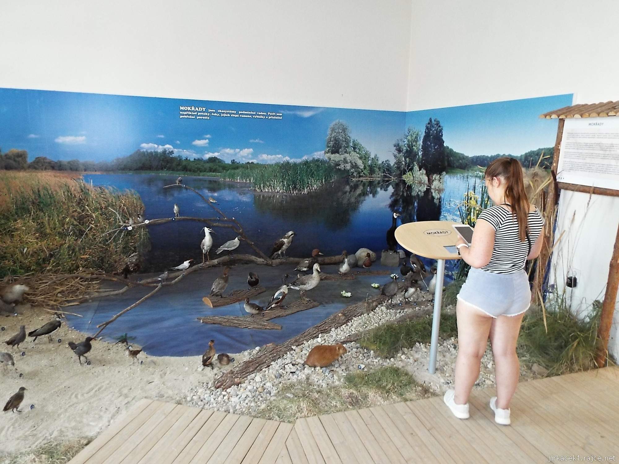 Valtice - zemědělské muzeum 19 - expozice přírody