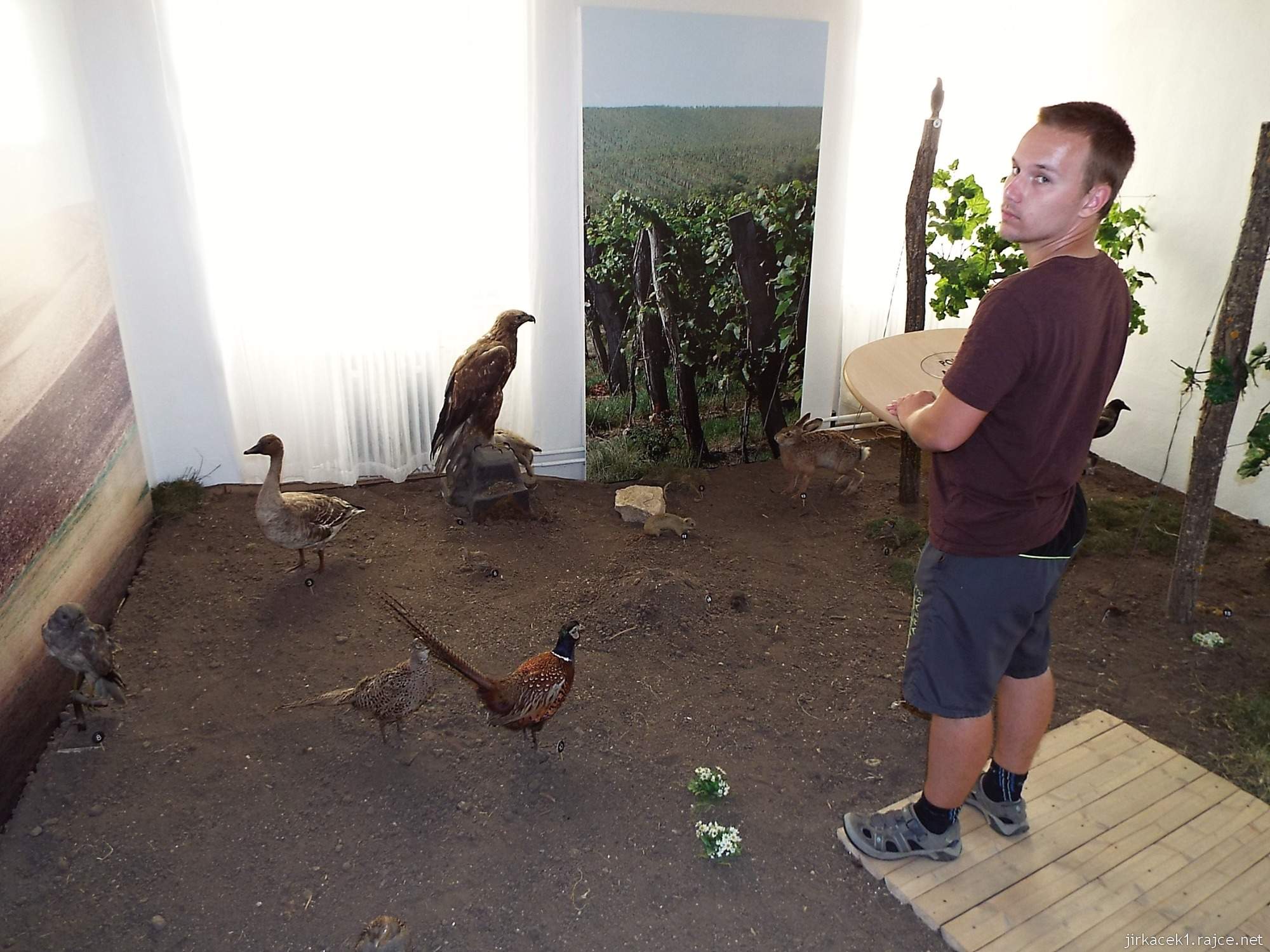 Valtice - zemědělské muzeum 20 - expozice přírody