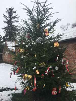 Vánoční stromeček - Ozdobený stromek u malé školy - ozdobili žáci 3. třídy