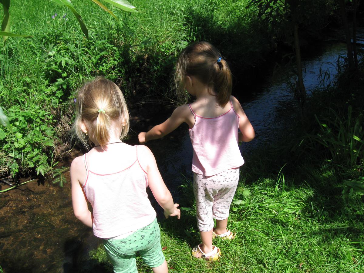 rajce.2009.rajce.idnes.cz za 2